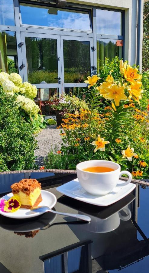 Pensjonat Lysica Wellness & Spa Свента-Катажина Экстерьер фото